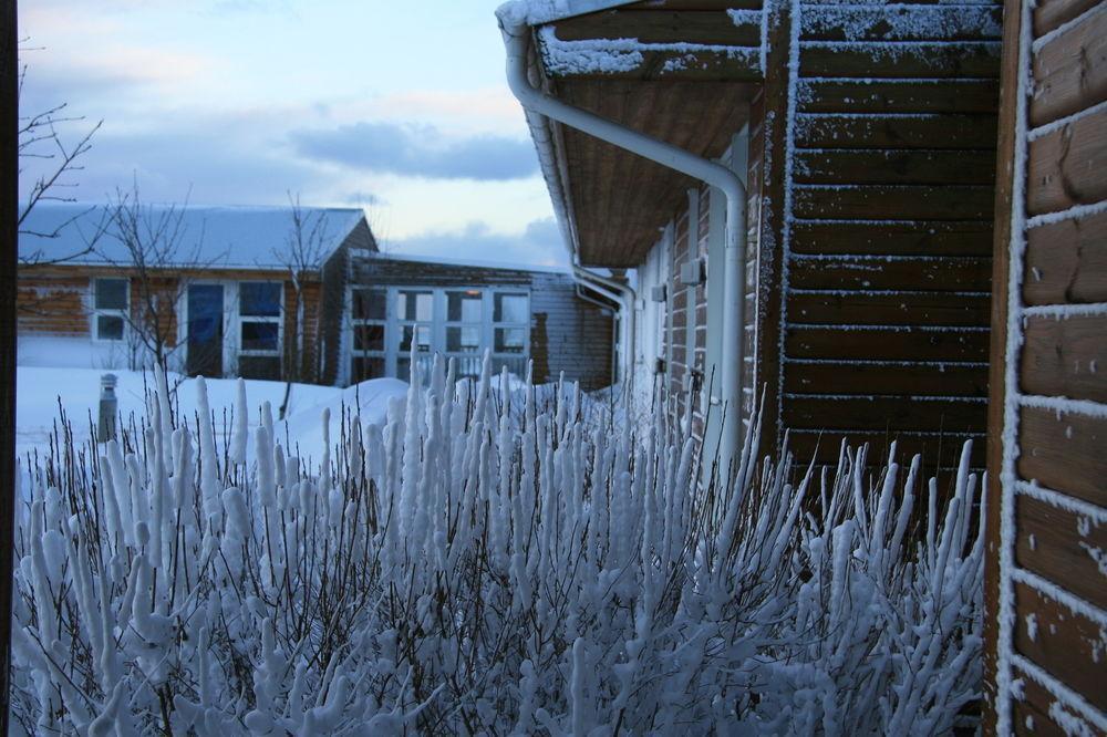 Hótel Eldhestar Hveragerdi Exterior foto